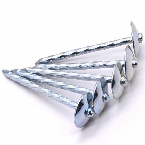 Twisted Shank Roofing Nails with Washer – High Quality Galvanized Steel
